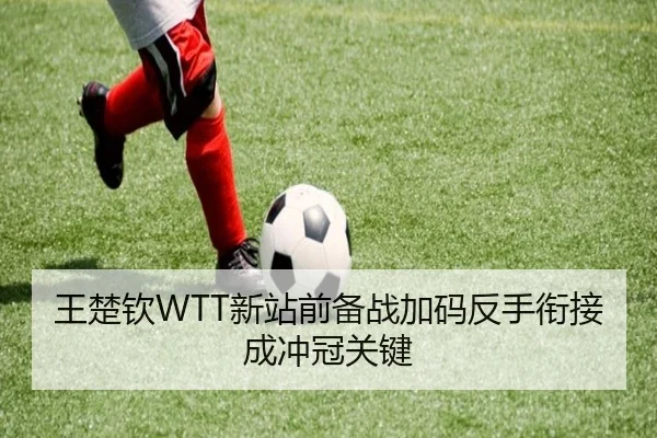 王楚钦WTT新站前备战加码反手衔接成冲冠关键